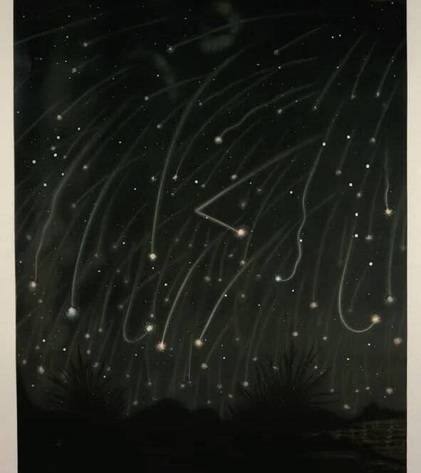 The November Meteors - The Trouvelot Astronomical Drawings (1882)