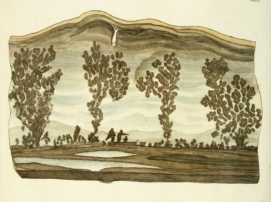 Cotham Marble — James Sowerby’s British Mineralogy (1802–17)
