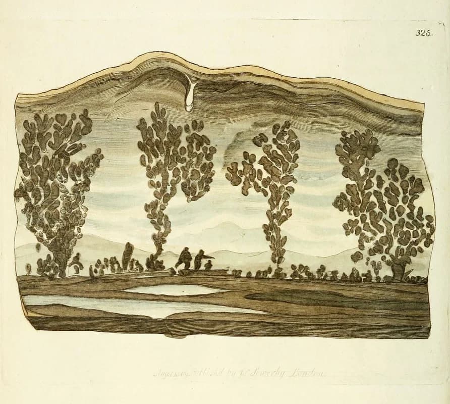 Cotham Marble — James Sowerby’s British Mineralogy (1802–17)